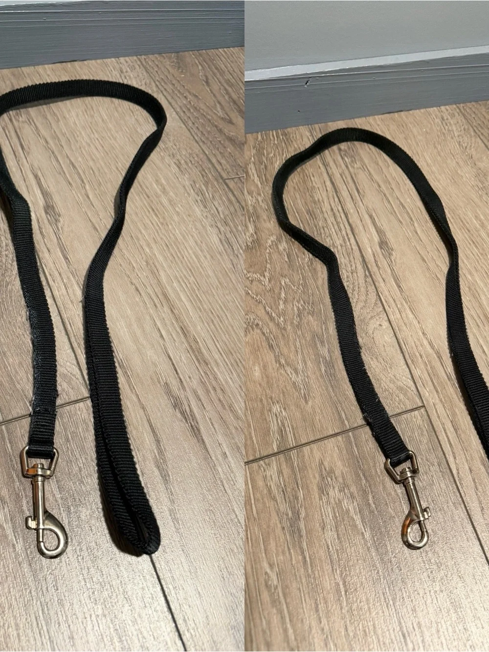 Lot of dog leashes